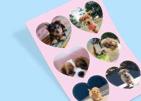 판스티커(자유형)